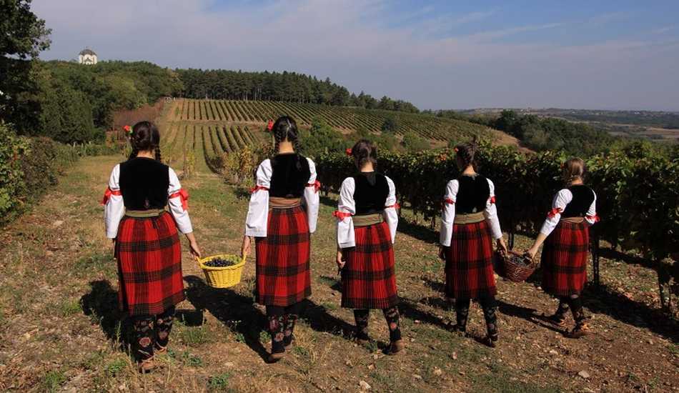 2018/03/images/tour_128/berba u topoli.jpg