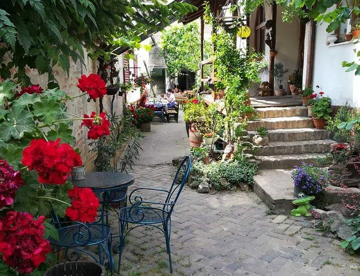 2024/03/images/tour_698/vinarija-benisek-veselinovic.png
